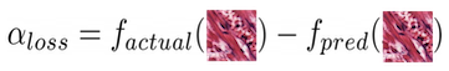 Loss